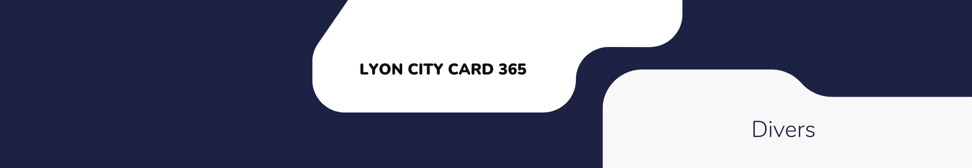 Bannière Lyon City Card
